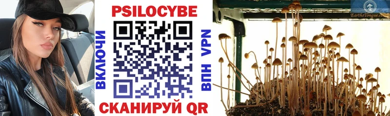 купить наркотик  Ленинск-Кузнецкий  Галлюциногенные грибы GOLDEN TEACHER 